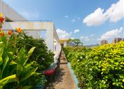 前海明珠-环境绿化