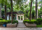 旭景佳园（一期）-环境绿化