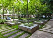 旭景佳园（一期）-环境绿化