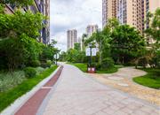 东关岸上林居-环境绿化