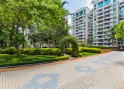 聚豪园-环境绿化