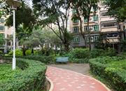 康达尔花园（五期蝴蝶堡）-环境绿化