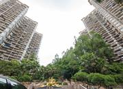 康达尔花园（五期蝴蝶堡）-环境绿化