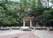 康达尔花园（五期蝴蝶堡）-环境绿化