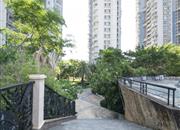 (泰然)碧海红树园-环境绿化