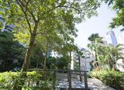 (泰然)碧海红树园-环境绿化