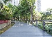 (泰然)碧海红树园-环境绿化