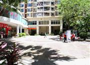 金城华庭-环境绿化