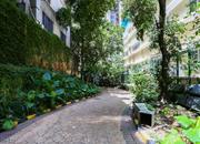 金城华庭-环境绿化