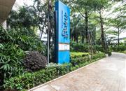 京基云景梧桐花园-环境绿化