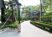 京基云景梧桐花园-环境绿化