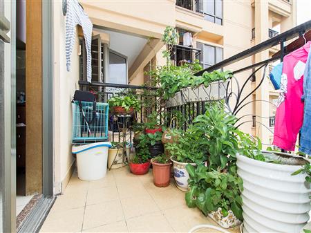 龙园意境华府-阳台