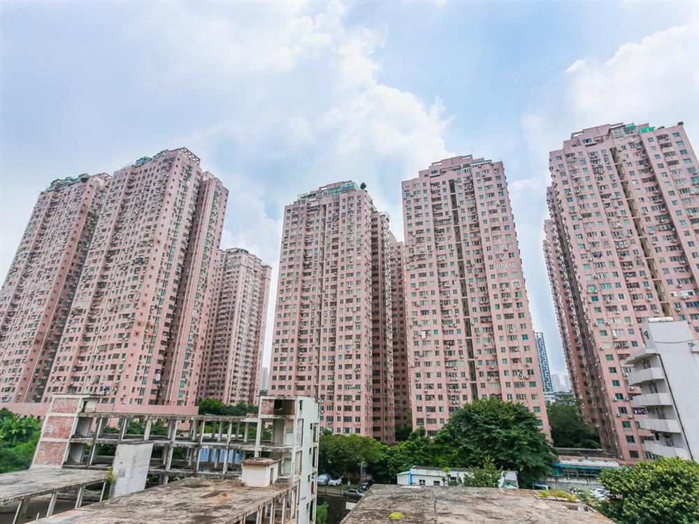 龙珠花园（A区）