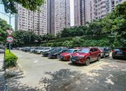 龙珠花园（A区）-基础设施