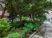 龙珠花园（A区）-环境绿化