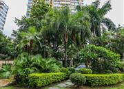 信义假日名城(六期溢芳园)-环境绿化