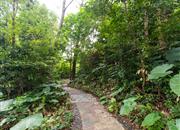 翠竹苑-环境绿化