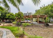 梅林一村-环境绿化