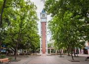 四季花城(一期北区)-环境绿化