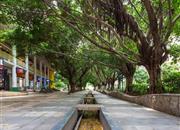 四季花城(一期北区)-环境绿化