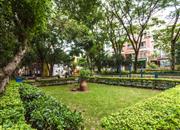 四季花城(一期北区)-环境绿化