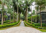 香蜜湖一号-环境绿化