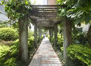 帝港海湾豪园-环境绿化