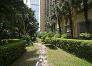 帝港海湾豪园-环境绿化