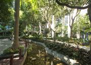 皇达东方雅苑-环境绿化