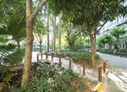 皇达东方雅苑-环境绿化