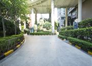 皇达东方雅苑-环境绿化