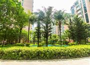 紫薇苑（二期）-环境绿化