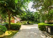 紫薇苑（二期）-环境绿化