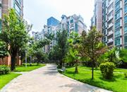 紫薇苑（二期）-环境绿化