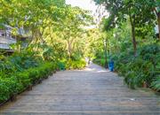 春华四季园（一期）-环境绿化