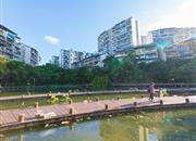 春华四季园（一期）-环境绿化