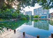 春华四季园（二期）-环境绿化