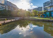 春华四季园（二期）-环境绿化