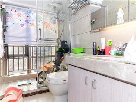 宝能华府-卫生间