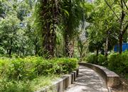 大世纪花园-环境绿化