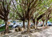 大世纪花园-基础设施