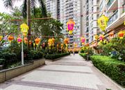 布吉中心花园-环境绿化