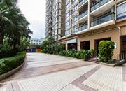 布吉中心花园-环境绿化