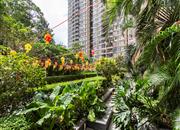 布吉中心花园-环境绿化