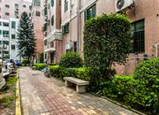 龙岗鸿基花园-环境绿化