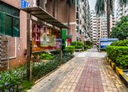 龙岗鸿基花园-环境绿化