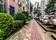 龙岗鸿基花园-环境绿化