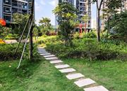 领航城领秀花园-环境绿化