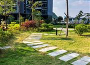 领航城领秀花园-环境绿化