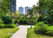 领航城领秀花园-环境绿化